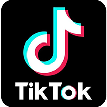 ICO tiktok